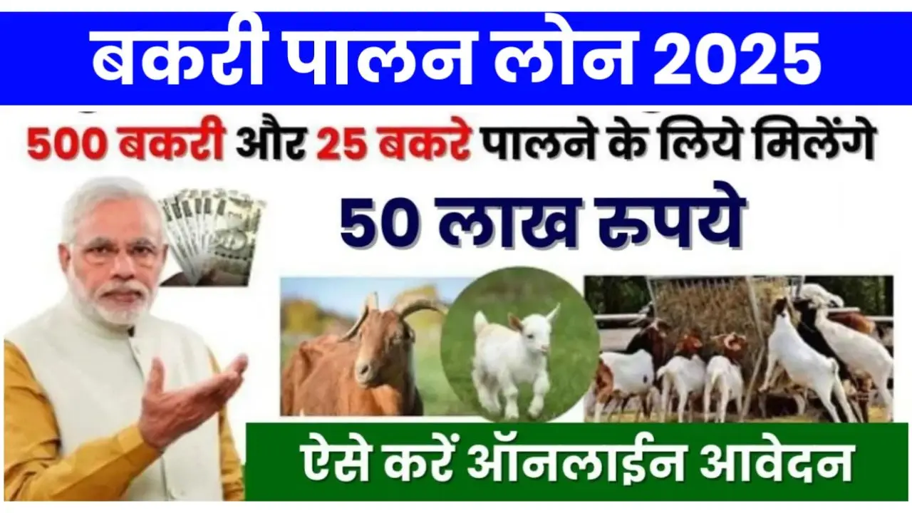 Bakri Palan Loan : बकरी पालन के लिए सरकार दे रही है 50 लाख तक का लोन, यहां से करें आवेदन